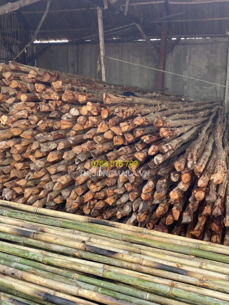 Thi công chòi lá Bình Thuận