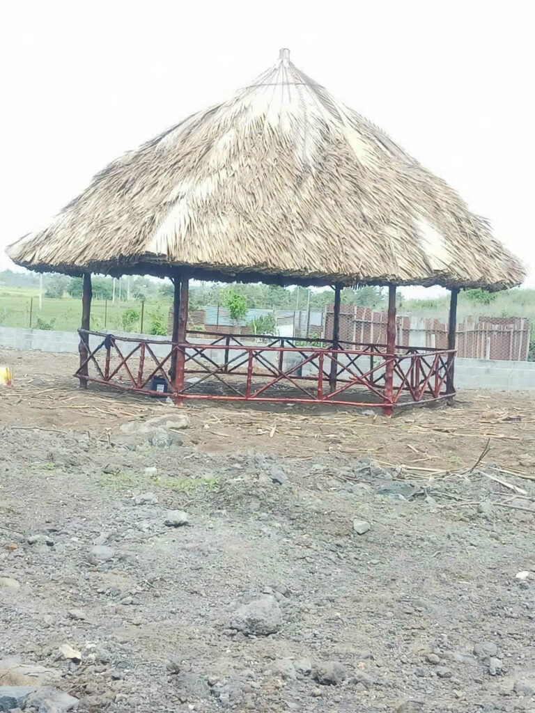 Thi công chòi lá Đồng Tháp