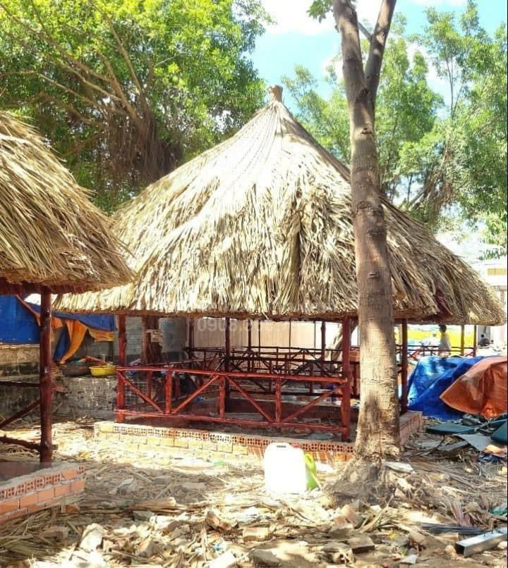 Thi công chòi lá Long An